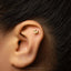 A close-up of a person's ear with a small gold earring in the earlobe.