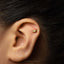 A close-up of a person's ear with a small gold earring in the earlobe.
