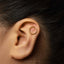 A gold hoop earring is visible in the ear of a person with dark hair.
