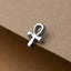 A silver Ankh symbol pendant is resting on a beige surface.