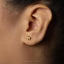 A close-up of a person's ear with a small gold-colored earring featuring a small animal design.