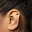 A close-up of a person's ear with a small silver earring in the earlobe.