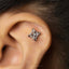 A silver earring with a Celtic knot design is visible in the person's ear.
