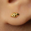 A close-up of a person's ear with a small gold earring in the earlobe.