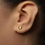 A close-up of a person's ear with a small gold earring featuring a shell design.