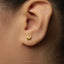 A close-up view of a person's ear adorned with a small gold earring featuring a leaf design.