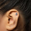 A close-up of a person's ear with a small, silver earring in the earlobe.