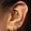 A close-up of a person's ear adorned with multiple gold earrings, including a hoop earring and two smaller earrings with a diamond accent.