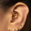 A close-up of a person's ear adorned with multiple gold earrings, including a hoop earring and two small earrings with stones.