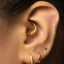 A close-up of a person's ear adorned with multiple gold earrings, including a hoop earring and a stud earring.