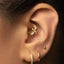 A close-up of a person's ear adorned with multiple gold earrings, including a crescent moon-shaped earring and hoop earrings.