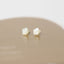 Rose Shell Stud Earrings, Flower, Gold, Silver SHEMISLI SS166