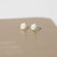 Rose Shell Stud Earrings, Flower, Gold, Silver SHEMISLI SS166 - Shemisli Jewels