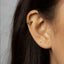 Bee Helix Ear Cuff, Upper Ear Cuff, Earring No Piercing is Needed, Gold, Silver SHEMISLI - SF038 LR - Shemisli Jewels