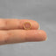 Hexagon Septum Ring, Nose Ring, Daith Hoop, Hinged Clicker Hoop, 16ga 8mm or 10mm, Surgical Steel, SHEMISLI SH238, SH239