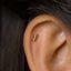 Tiny Bar Threadless Flat Back Earrings, Nose Stud, 20,18,16ga, 5-10mm Surgical Steel SHEMISLI SS589