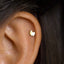 Tiny Pom Studs, Pomeranian Dog Earrings, Gold, Silver SHEMISLI SS687 Butterfly End, SS688 Screw Ball End (Type A)